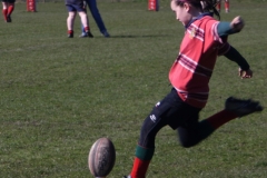 Rugby0242