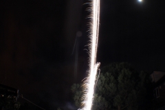 Fireworks0008