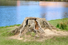 Lyme_0156