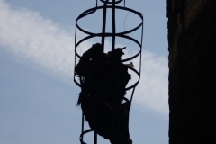 London_264