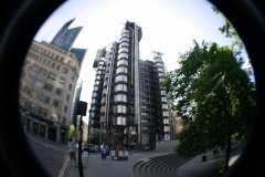 London_384