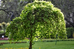 London_417