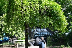 London_423
