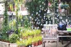 Bubbles_0026