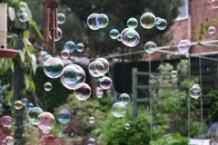 Bubbles_0043