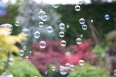 Bubbles_0070