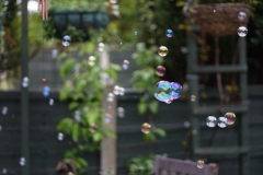 Bubbles_0105