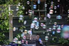 Bubbles_0129