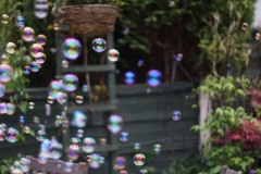 Bubbles_0148