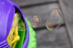 Bubbles_0276