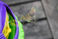 Bubbles_0288