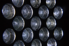 Macro_0061