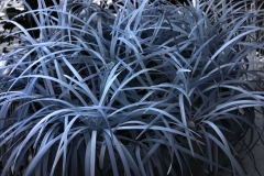 More-IR-Cam_0001