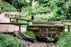 Monkey_0318