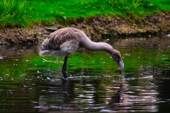 MartinMere_0023