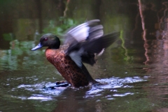 MartinMere_0043