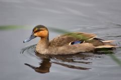 MartinMere_0104