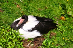 MartinMere_0164