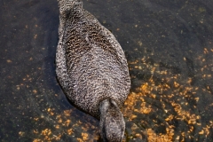 MartinMere_0184