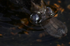 MartinMere_0191