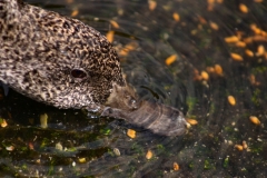 MartinMere_0200