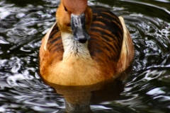 MartinMere_0251