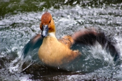 MartinMere_0258