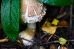MartinMere_0508