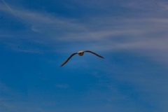 Southport_0039