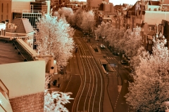 AmsterdamDay4_IR__0056