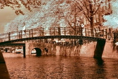 AmsterdamDay8_IR__0129