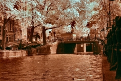AmsterdamDay8_IR__0159