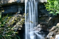 LondonWWT_021
