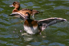 LondonWWT_035