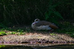 LondonWWT_175