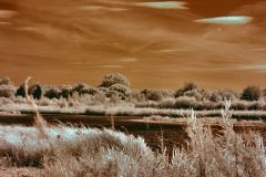 LondonWWT_IR__0001