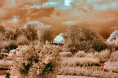 ChesterZoo3_IR__0003