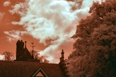 ChesterZoo3_IR__0027