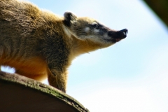 Marwell_Zoo_0389