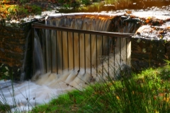 LymePark_0014