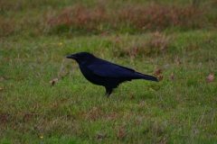 LymePark_0022