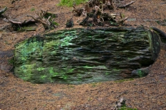 LymePark_0029