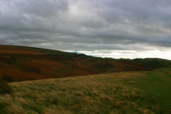LymePark_0073