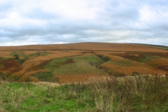 LymePark_0081