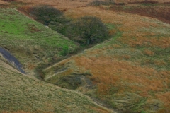 LymePark_0097