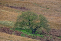 LymePark_0104