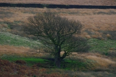 LymePark_0109