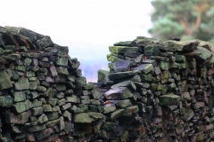 LymePark_0139