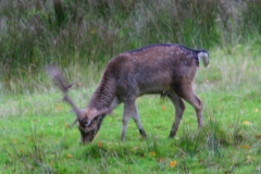 LymePark_0171