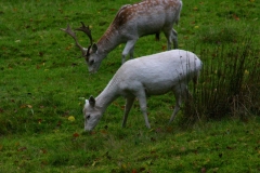 LymePark_0196